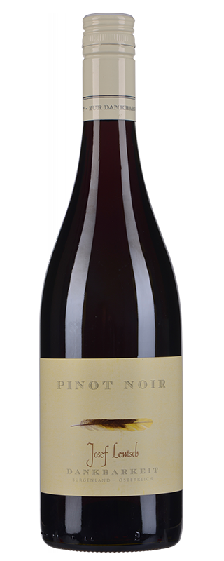 Zur Dankbarkeit Pinot Noir 2019 0.75 lt EW-Fl.