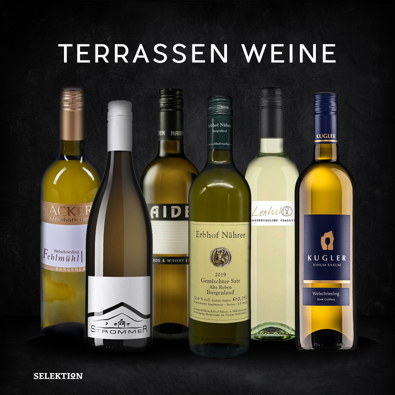 Terrassen Weine / 6 Flaschen Weiss