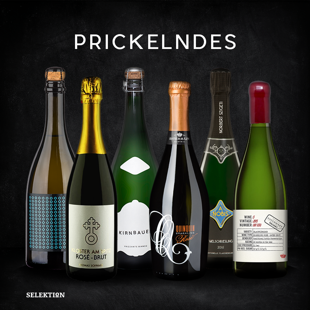 Prickelndes / 6 Flaschen Schaumwein