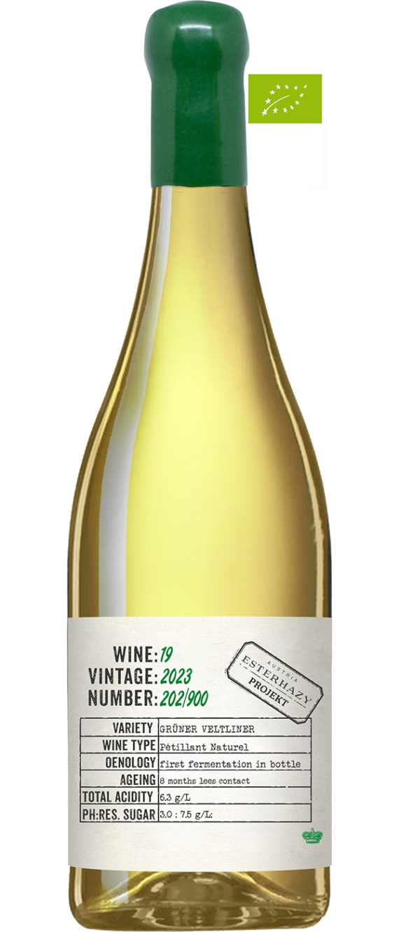 Projekt 19 PetNat