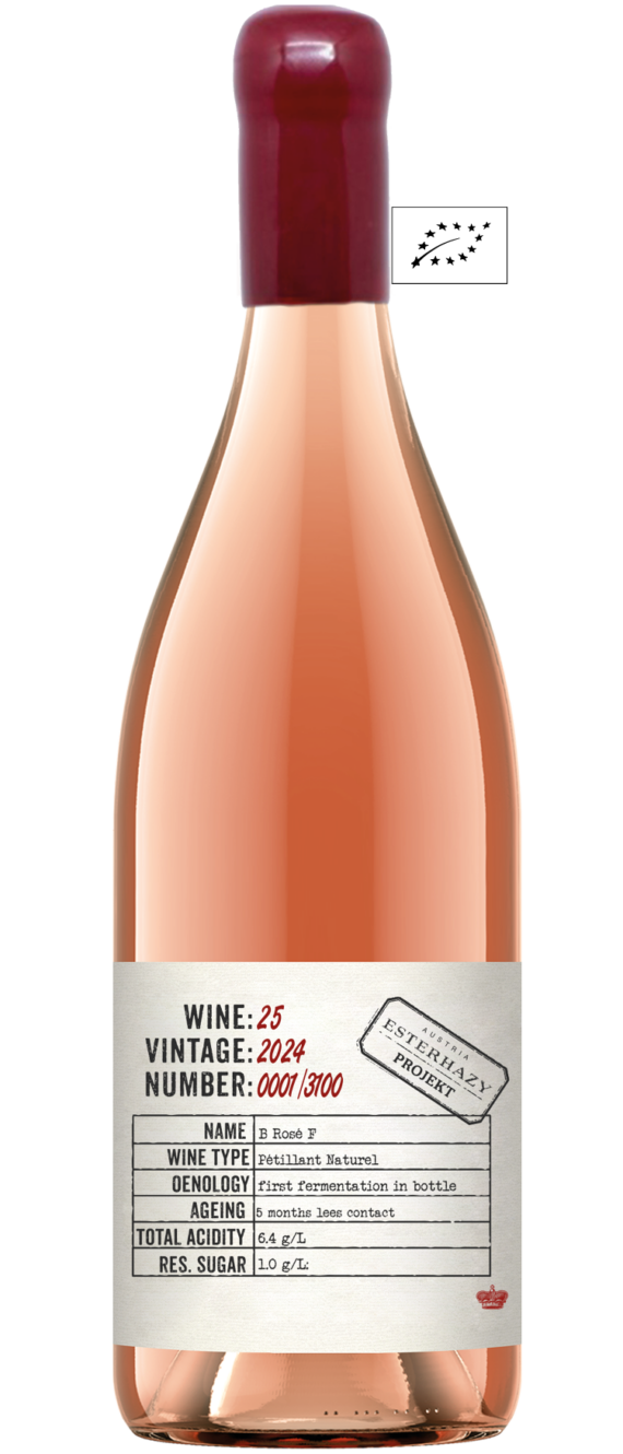 Projekt 25 Rosé PetNAt